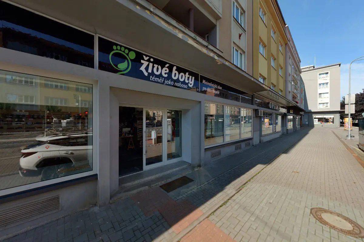 Živé boty